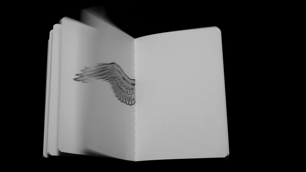 an open blank book with a birds wing illustrated on the left hand page