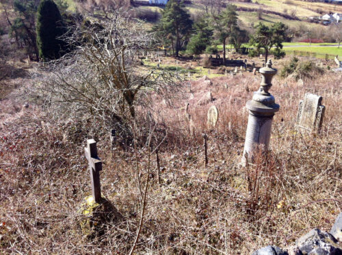 Old gravestones dotted about an overgrown graveyard