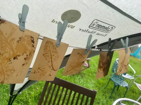 Printed images of plants pegged on a washing line in a garden.